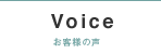 VOICE